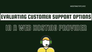 Evaluating Customer Support Options in Web Hosting Provider