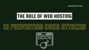 The Role of Web Hosting in Preventing DDoS Attacks